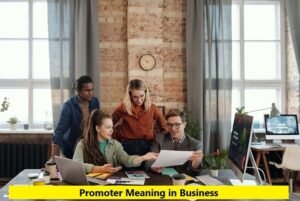 Promoter Meaning in Business