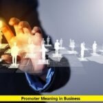 Promoter Meaning in Business