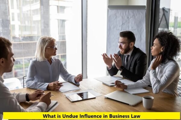 What is Undue Influence in Business Law