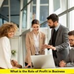 What is the Role of Profit in Business