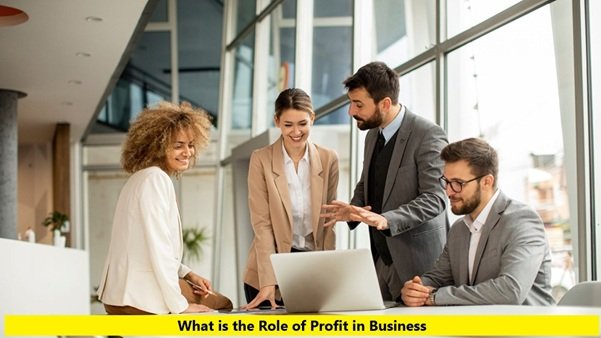 What is the Role of Profit in Business