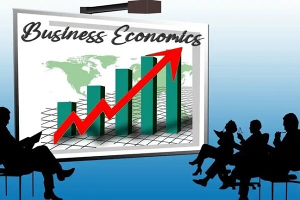 What is Business Economics