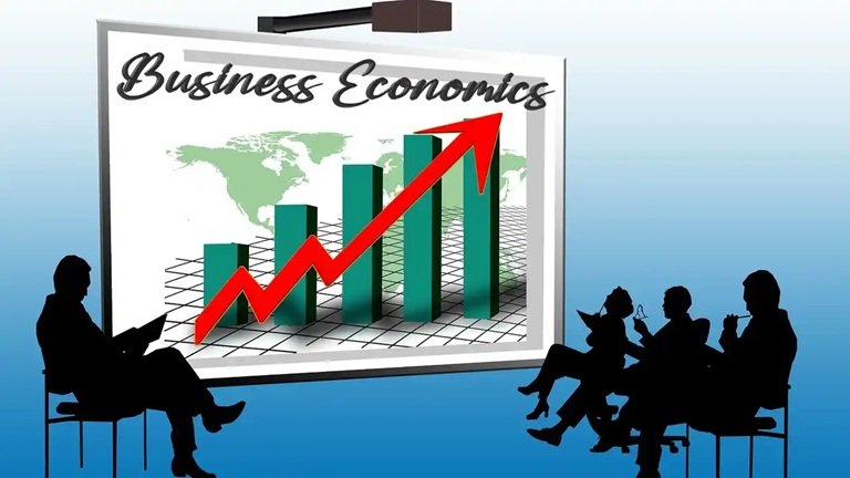 What is Business Economics