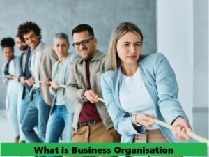 What is Business Organisation